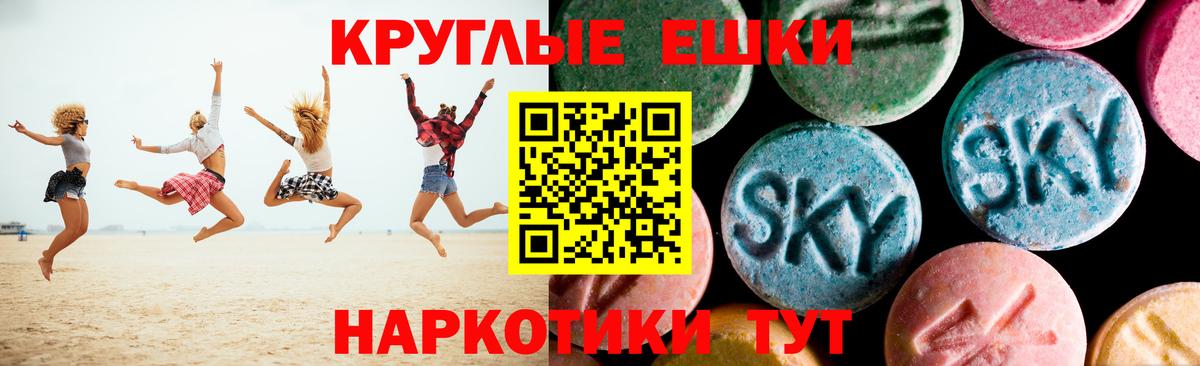 ЭКСТАЗИ бентли Гусев