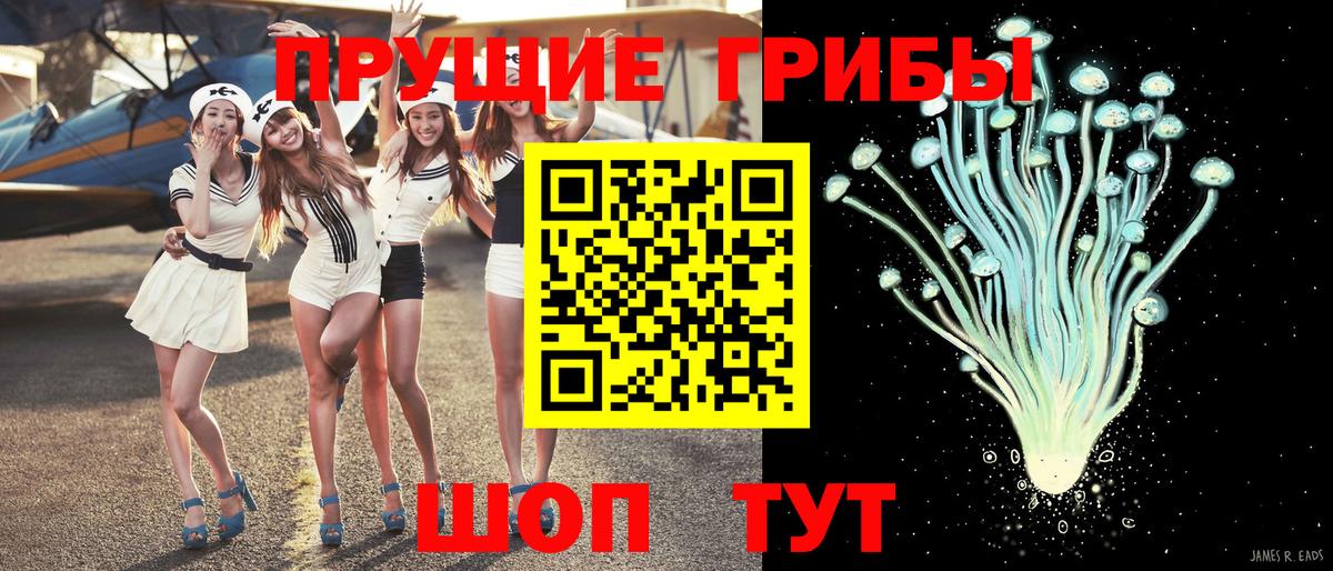 купить наркотик  Псилоцибиновые грибы ЛСД  Вход с VPN  Гусев 