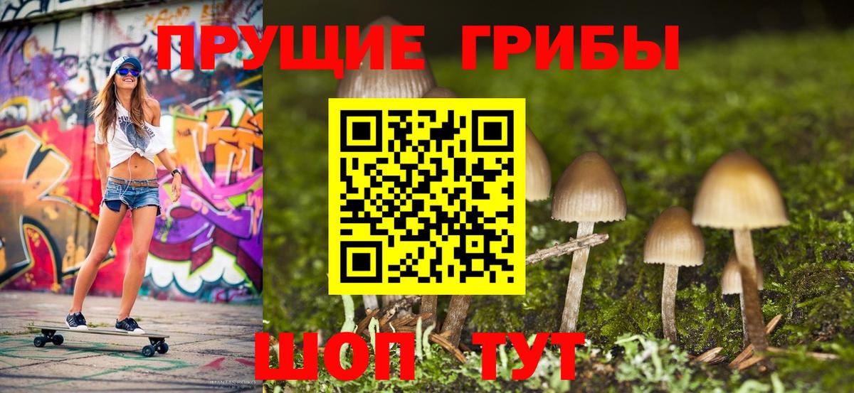 Галлюциногенные грибы ЛСД Гусев